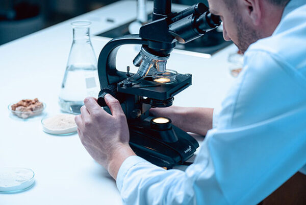 betulin lab microscope wood chemistry