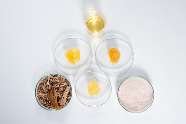 Oliogel birch bark extract betulin