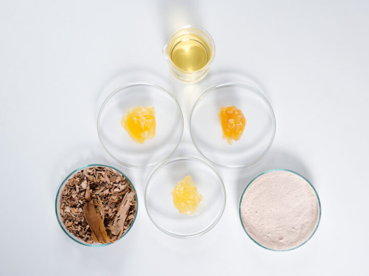 Latvijas Finieris, the Latvian State Institute of Wood Chemistry, and Cosmetics Manufacturer Labrains Explore Oleogel