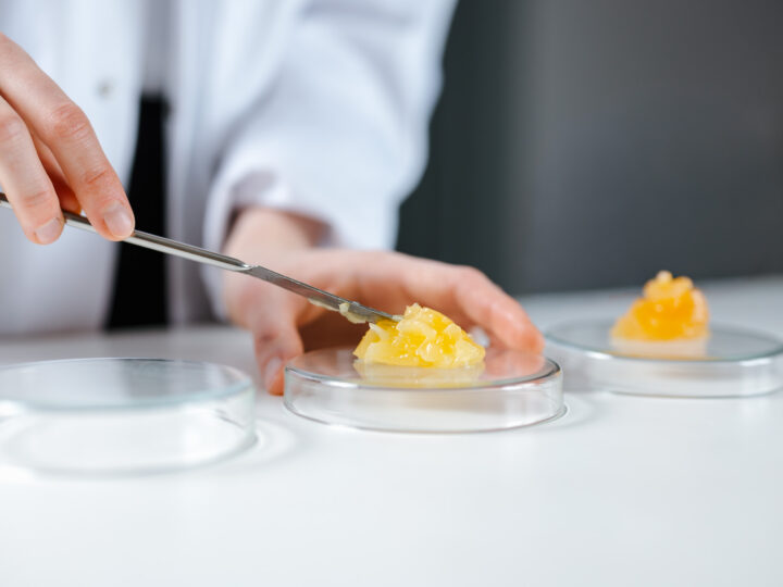 Large-Scale Oleogel Production Commences